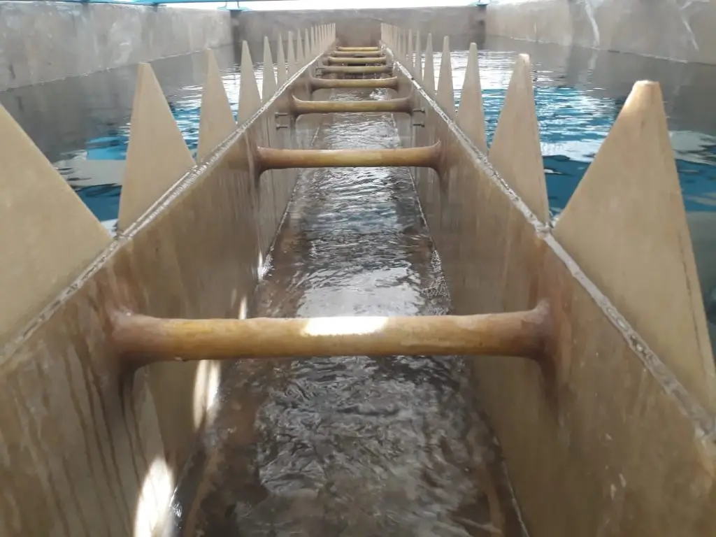 WhatsApp-Image-2022-04-01-at-09.53.27 (1)